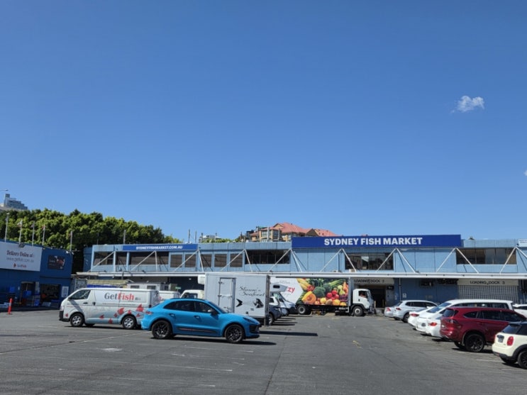  Sydney(5): Sydney Fish Market