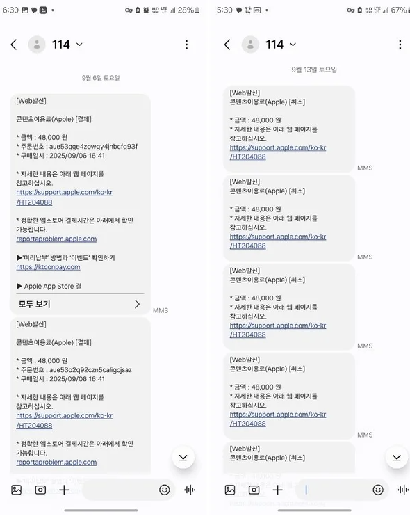 또 터진 소액결제 무단 피해…왜 늘 피해자만 고생해야 할까? 