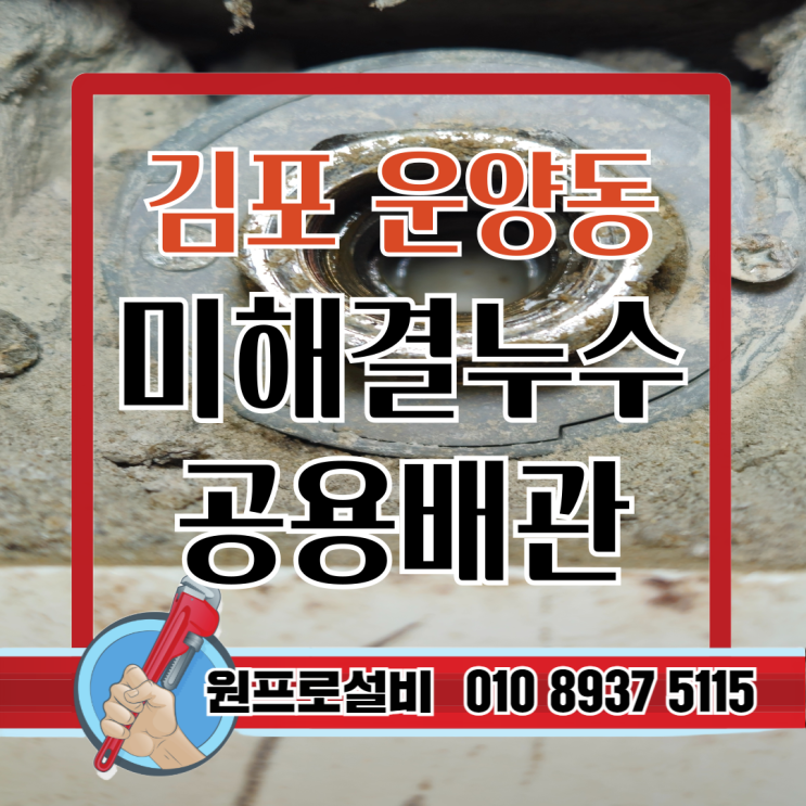  운양동 이편한세상 미해결누수, 범인은 공용배관