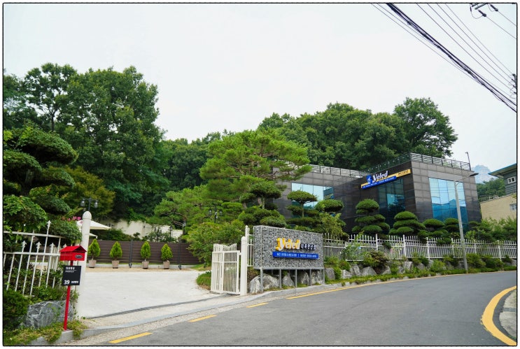  강아지유치원비용, 1인창업으로 가능할까? 현실 가이드 & 프랜차이즈 포인트
