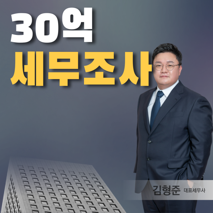  30억 세무조사, 강남4구 마용성 전수조사 한다?