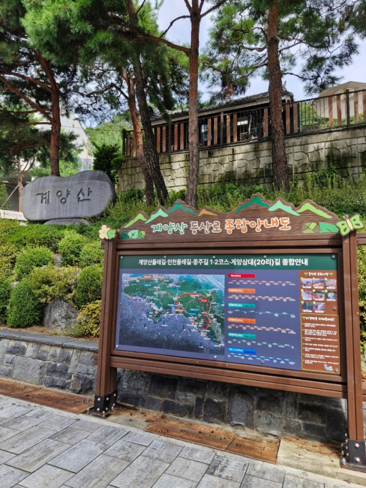  인천 계양산둘레길 장미원 초보 등산코스 주차장