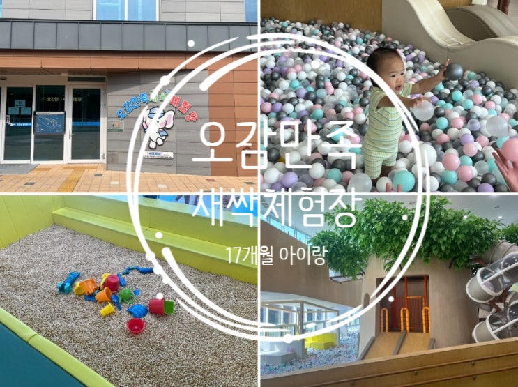  음성 오감만족 새싹체험장 예약방법 17개월 아이와 다녀온 후기