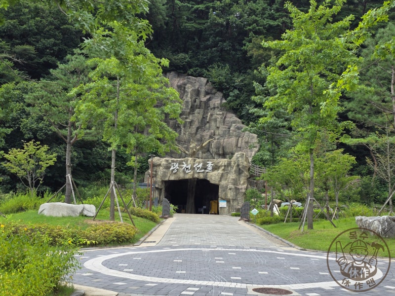 사진 3