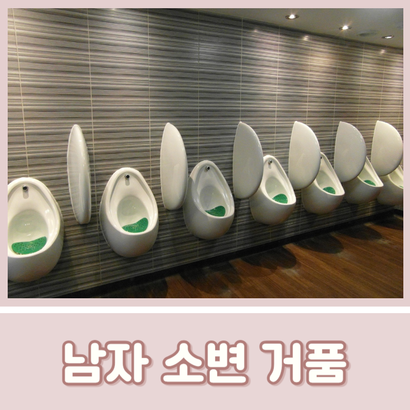 남자 소변 거품 단백뇨 당뇨 신장질환 관련 있을까