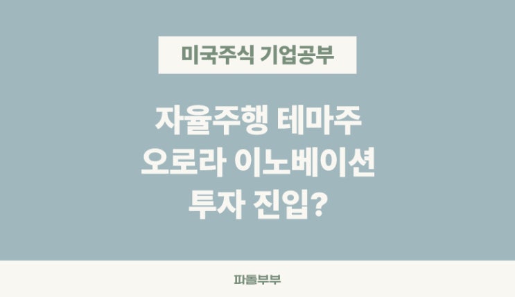  미국 해외 주식 오로라 이노베이션 AUR 주가 뭐하는 회사 하는일 주가 기업 정보 매출 실적 재무 분석 투자 전망