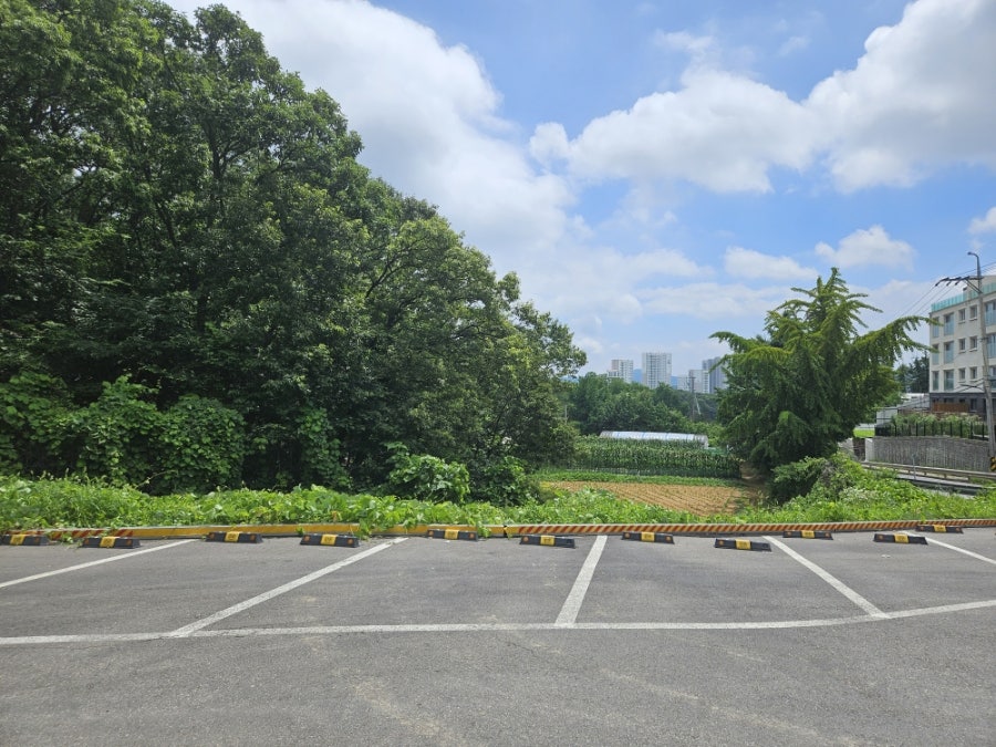 주문리동치미막국수 사진 2