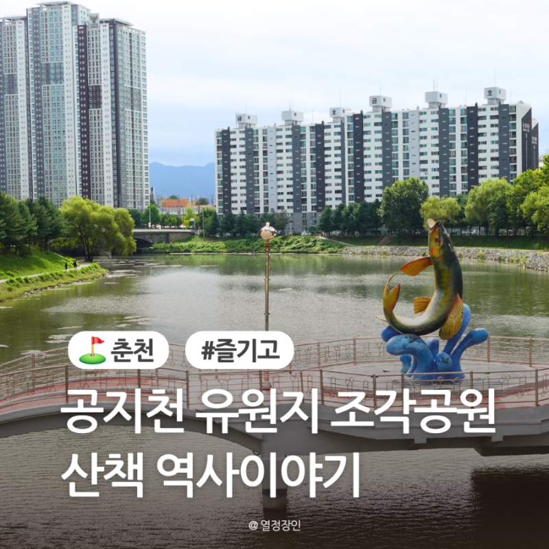 사진 9