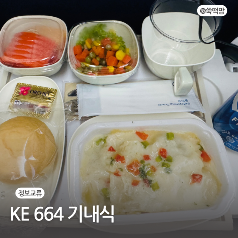 푸켓-인천행 대한항공 KE 664 일반 기내식 특별 기내식 과일식 눕코노미 팁
