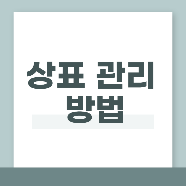  상표권 관리를 놓치면 손해 보는 포인트