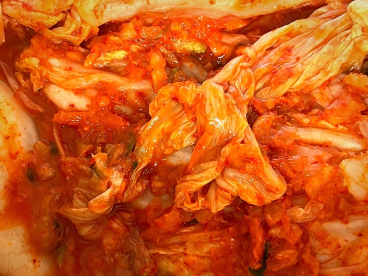  컬리 김치 시원한 배추김치 추천