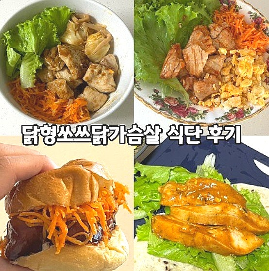  맛있는 닭가슴살식단 단백질 충전 아르기닌 닭형쏘쓰닭가슴살