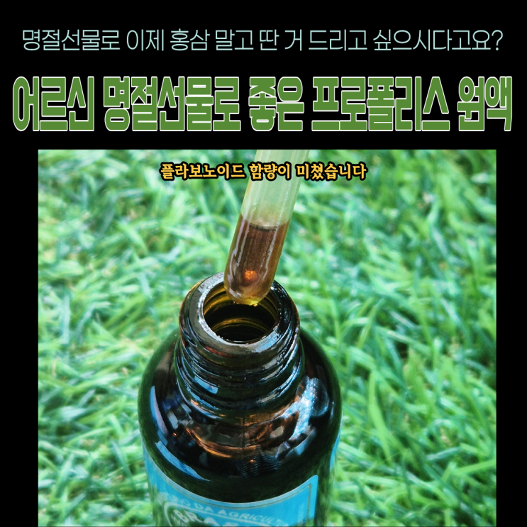  사돈댁 명절선물 최고급 브라질산 그린 프로폴리스원액(타먹는 방법, 맛)