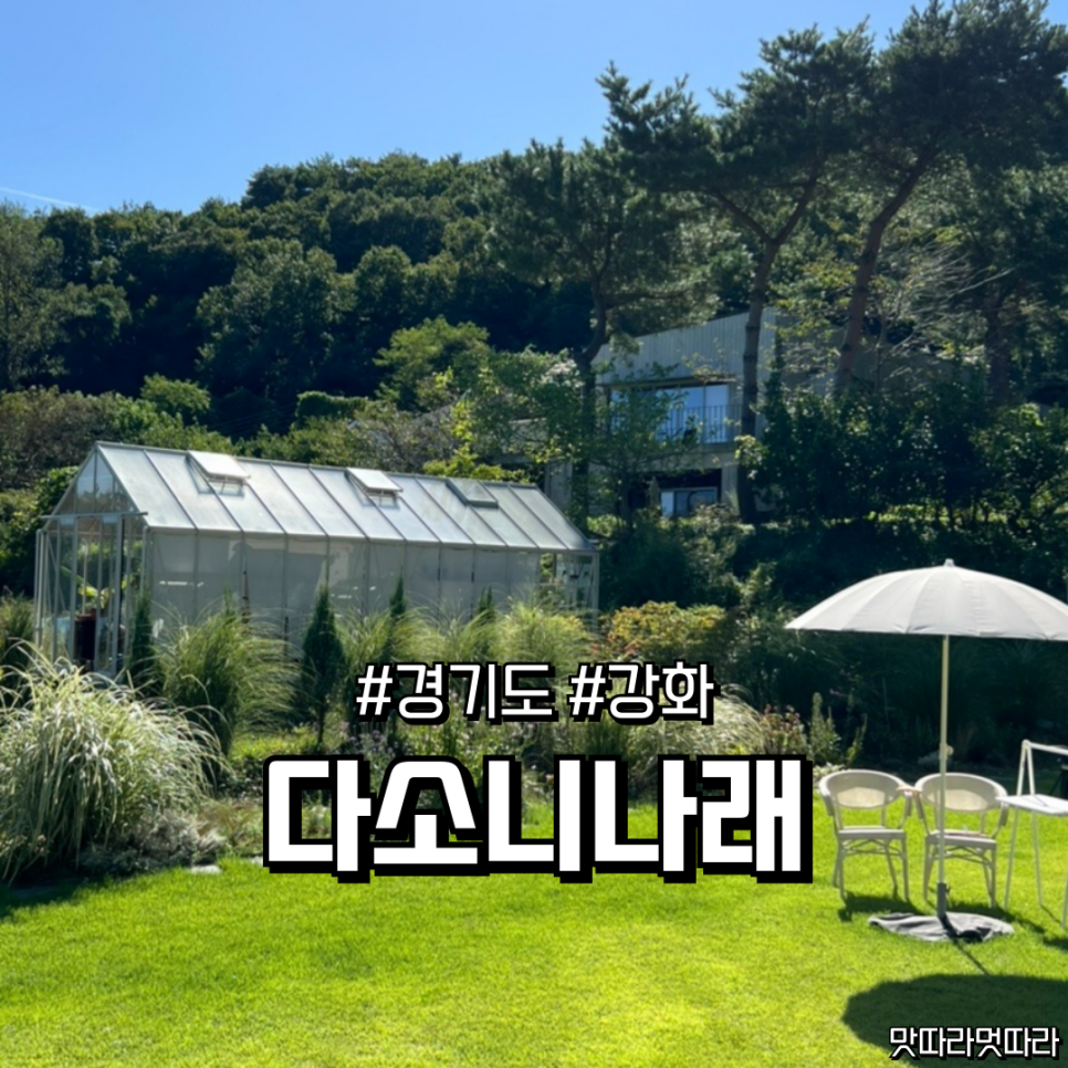 다소니 나래 사진 1