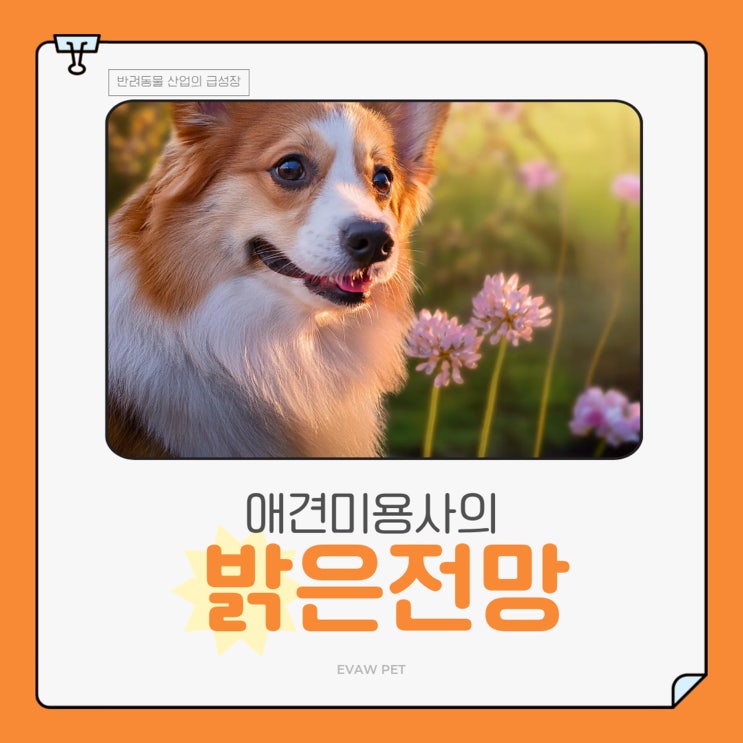  광명 애견미용학원 자격증 취득, 창업, 취업이 가능한 학원추천