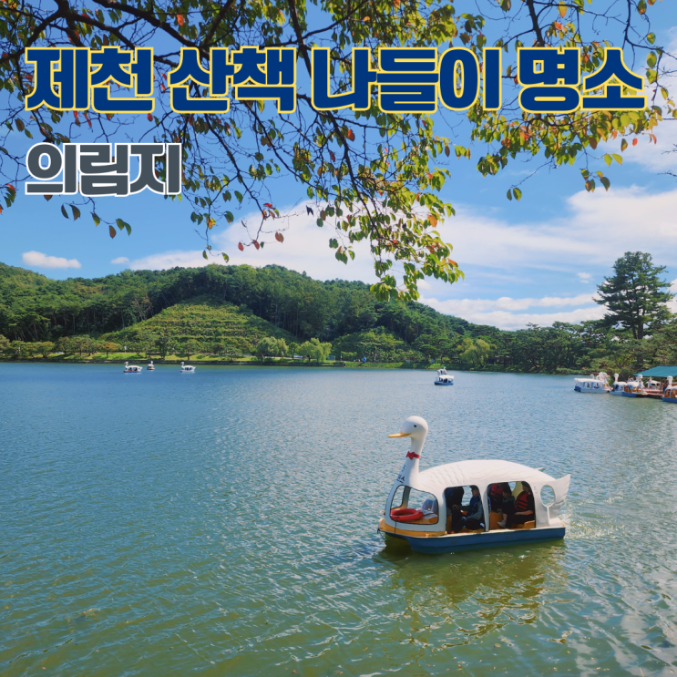  의림지 제천 산책하기 좋은 곳 주차 충북 여행지 가볼만한 곳 제천10경 중 제1경 다이루어질지니 촬영지