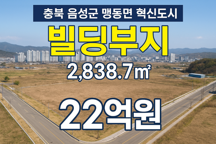  충북 음성군 맹동면 혁신도시 빌딩부지2,838.7 22억원