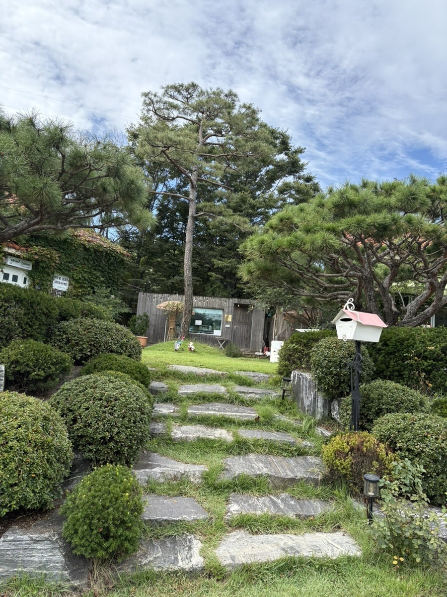 카페라온 사진 5