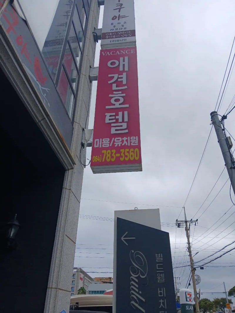 사진 2