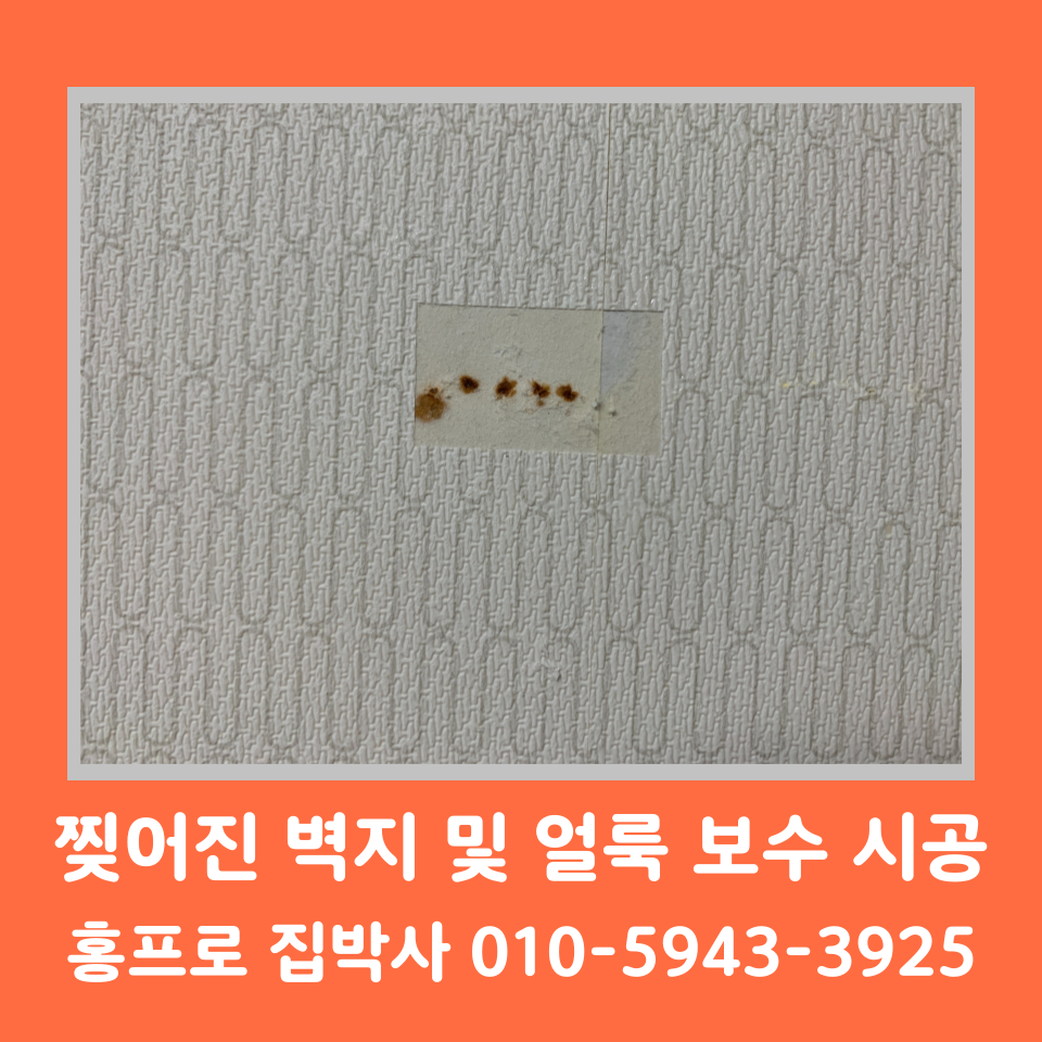 찢어진 벽지 보수 셀프 방법 및 비용 (성남)