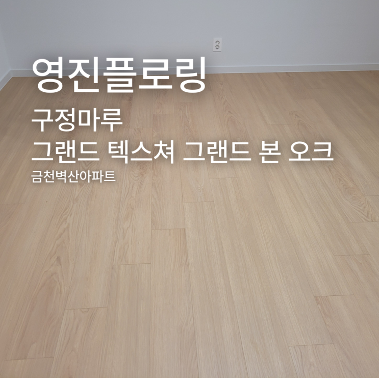  그랜드 텍스쳐 그랜드 본오크 165 금천구 금천벽산아파트 시공 사례