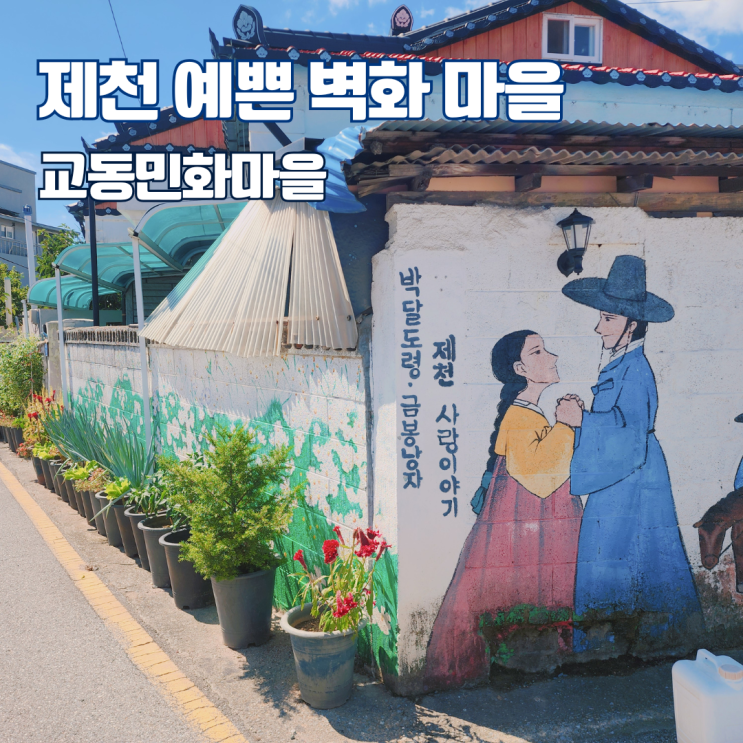  교동민화마을 제천 예쁜 벽화 마을 충북 여행지 가볼만한 곳