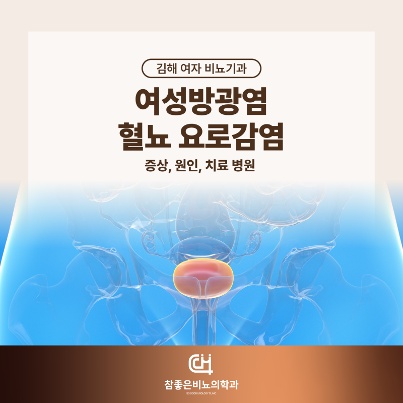 김해 여자 비뇨기과 - 여성방광염 혈뇨 요로감염 증상, 원인, 치료 병원
