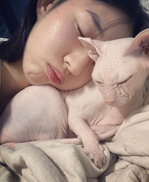 김선아 故 설리 반려묘 '고블린' 따뜻한 근황 전해 변치 않는 사랑에 뭉클