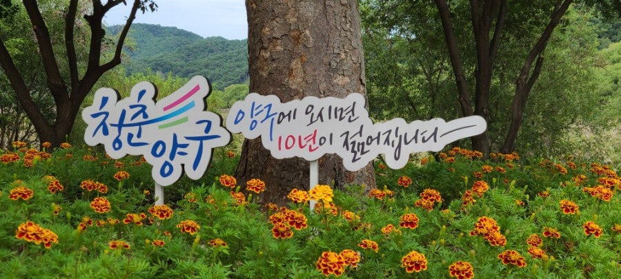봉평막국수 사진
