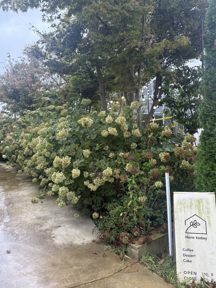 Sikdongjeosuji photo 6