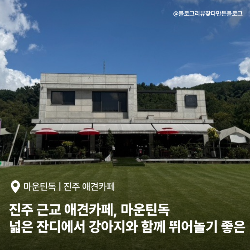 사진 5