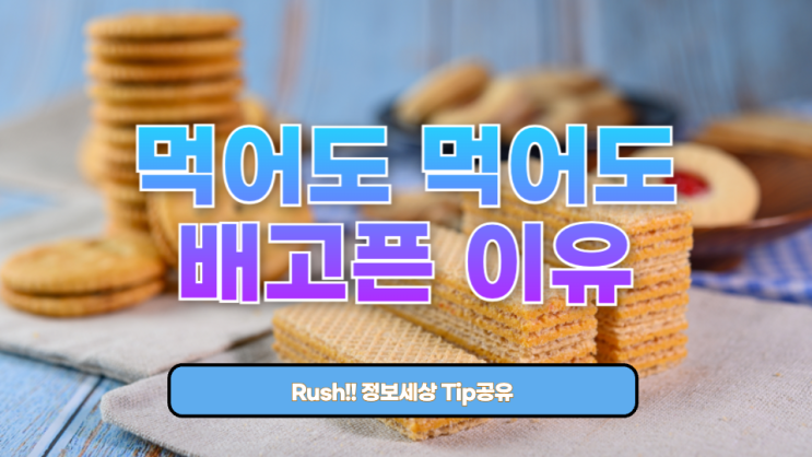  먹어도 먹어도 배고픈 이유: 호르몬, 생활습관, 건강 문제까지 완벽 해부