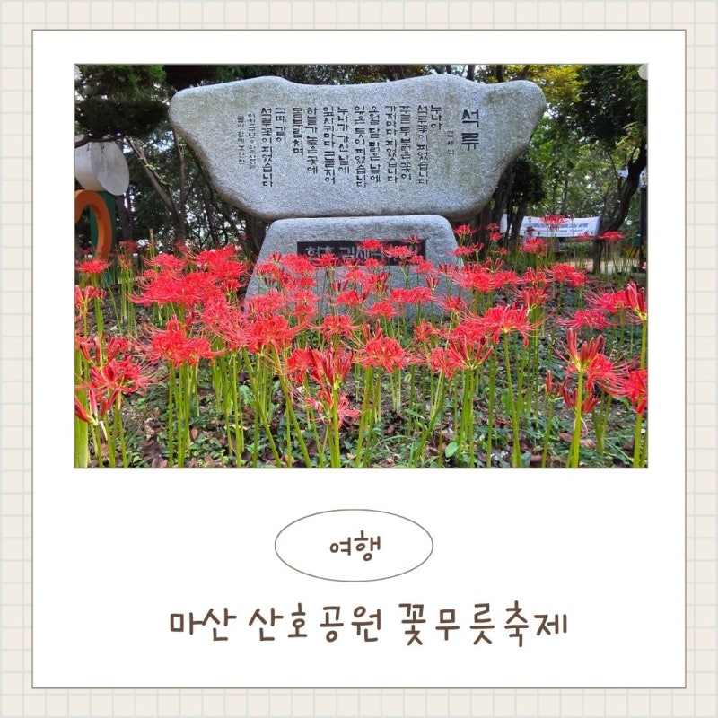 마산 산호공원 꽃무릇 개화 상황과 축제 일정 총정리