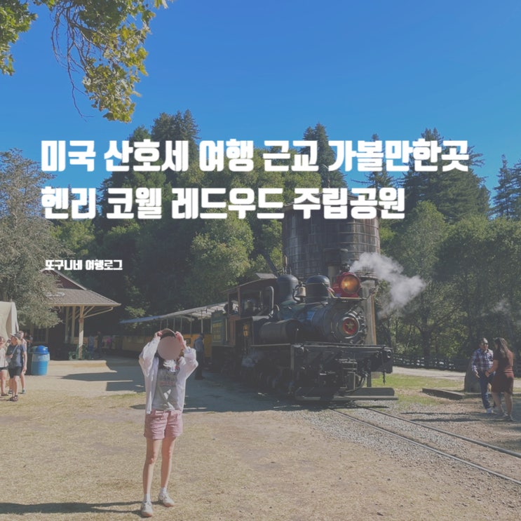  미국 산호세 여행 근교 가볼만한곳 추천, 헨리 코웰 레드우드 주립공원 Henry Cowell Redwoods State Park
