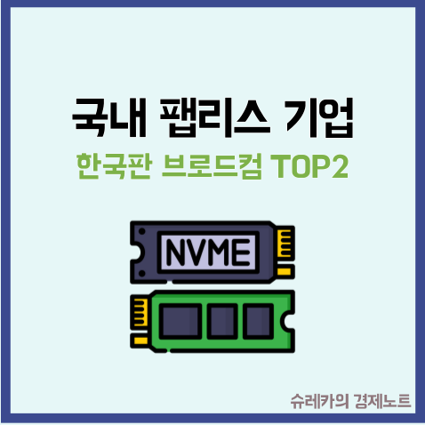  주가 급상승한 국내 팹리스 반도체 기업 TOP2