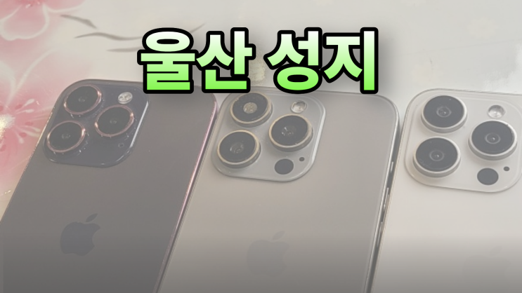  울산 북구 휴대폰 성지 가격 위치 구입 방법