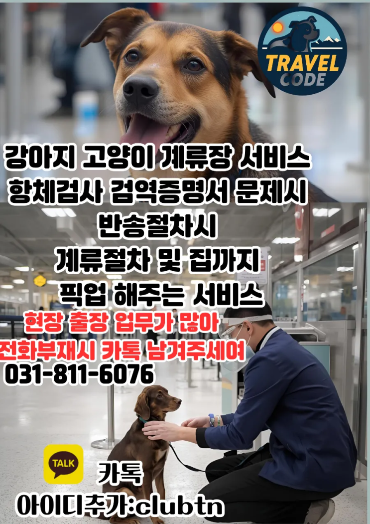  반려동물 강아지 고양이 애견 애완동물 계류장 항체검사 픽업 절차