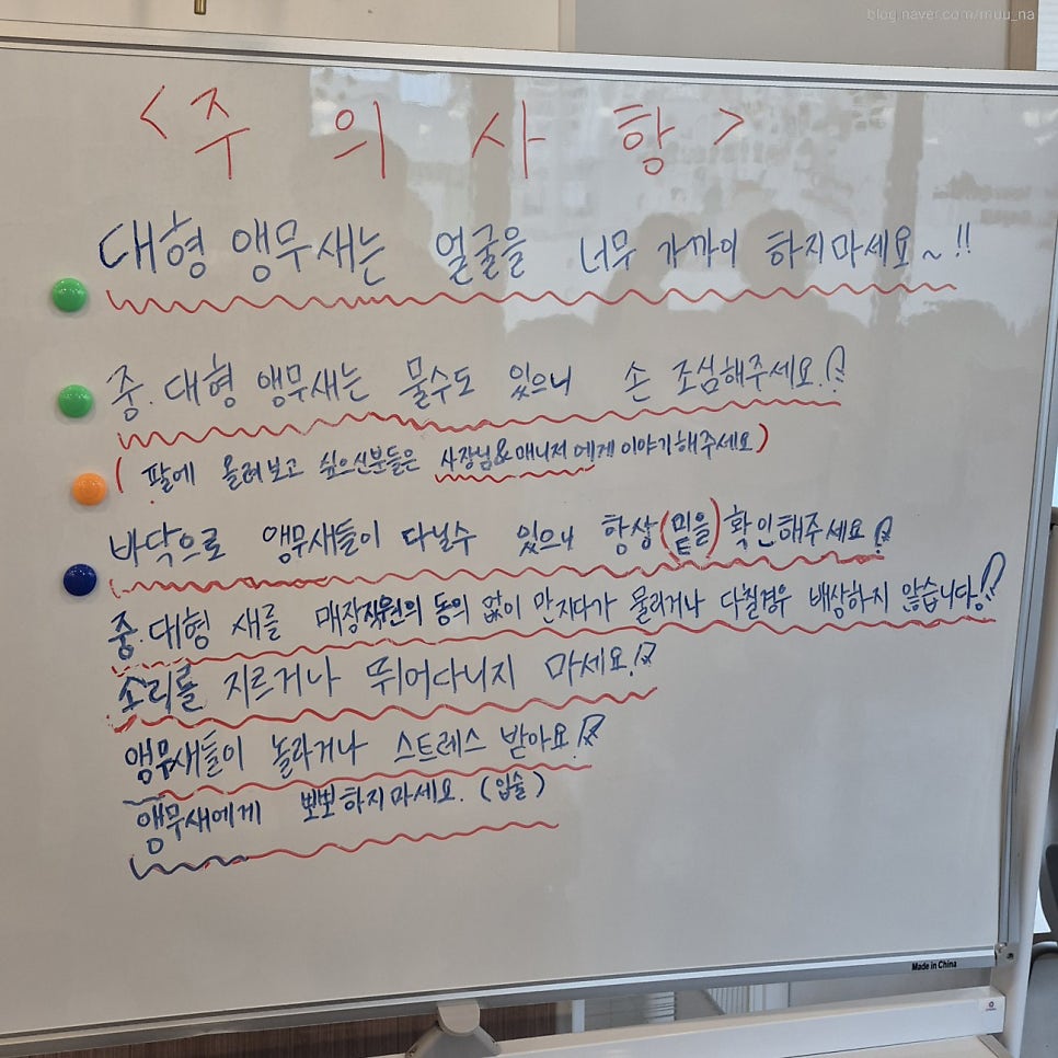 리프패럿 평택점 사진 3