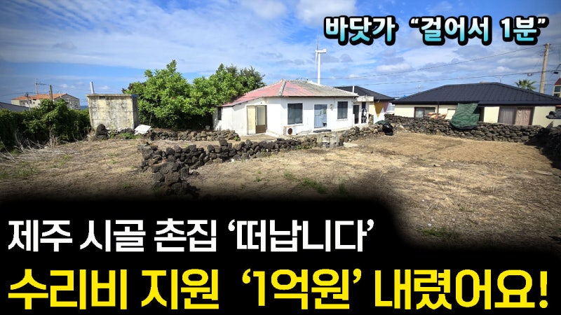 제주도 바닷가 시골집 포기하고 떠납니다. 예쁜 집 만드시라고 1억원 내렸어요.
