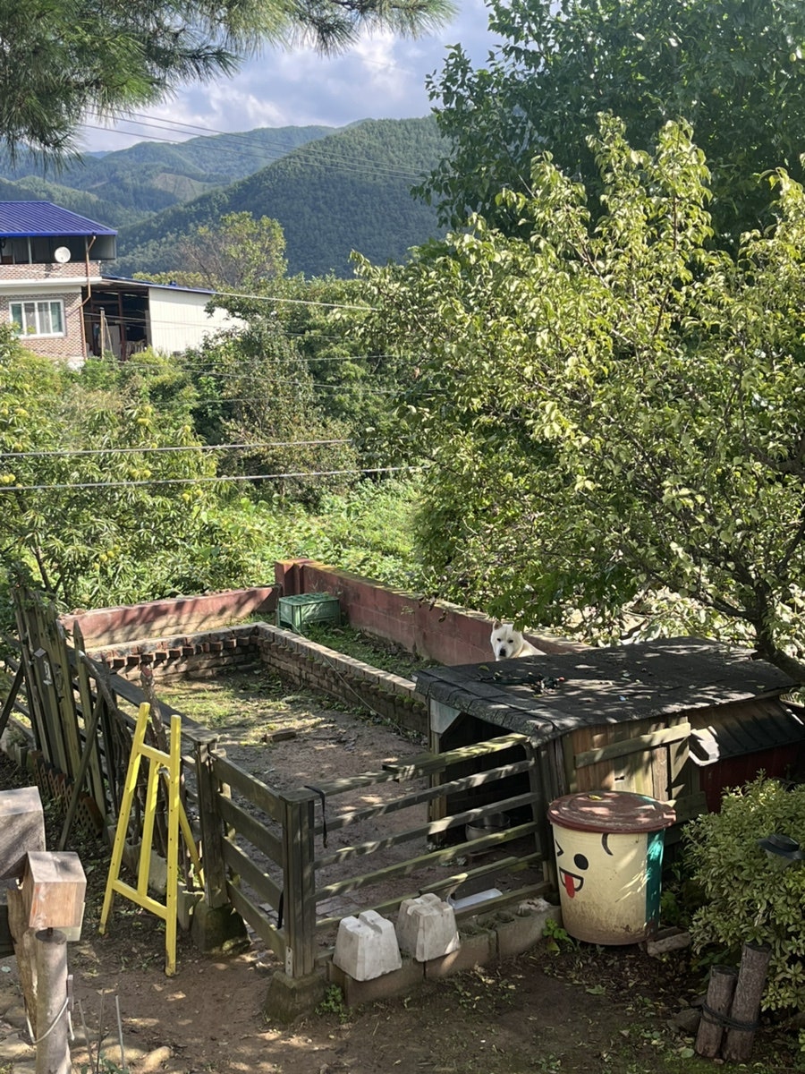 구름산방 사진 4