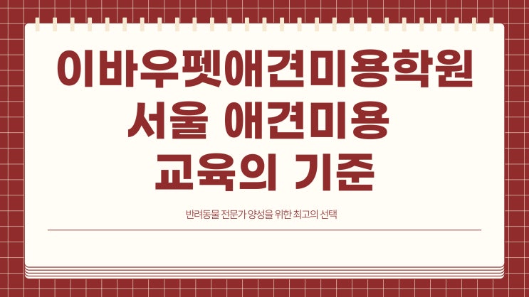  서울에서 애견미용학원 찾는다면? 차별화된 이바우펫