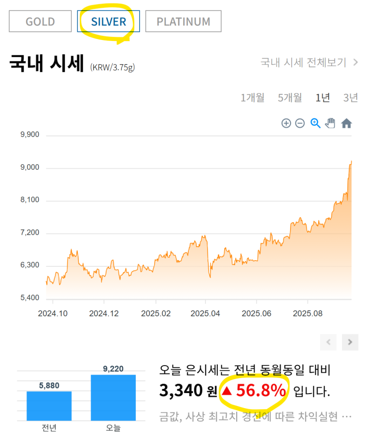  금ETF 와 은ETF 투자 장단점 차이점과 특징 금은비 총정리