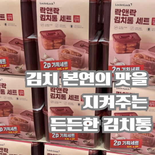 트레이더스 락앤락 김치통 비교 후기