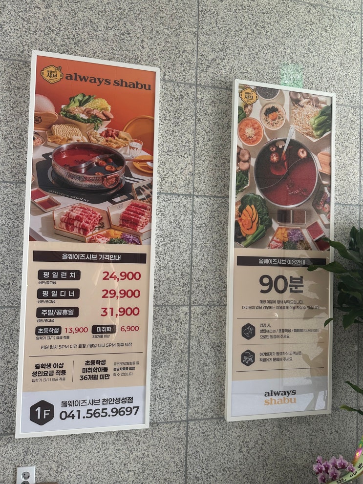  올웨이즈샤브 천안성성점 천안 샤브샤브 오픈이벤트 가격 메뉴 추천 식사후기