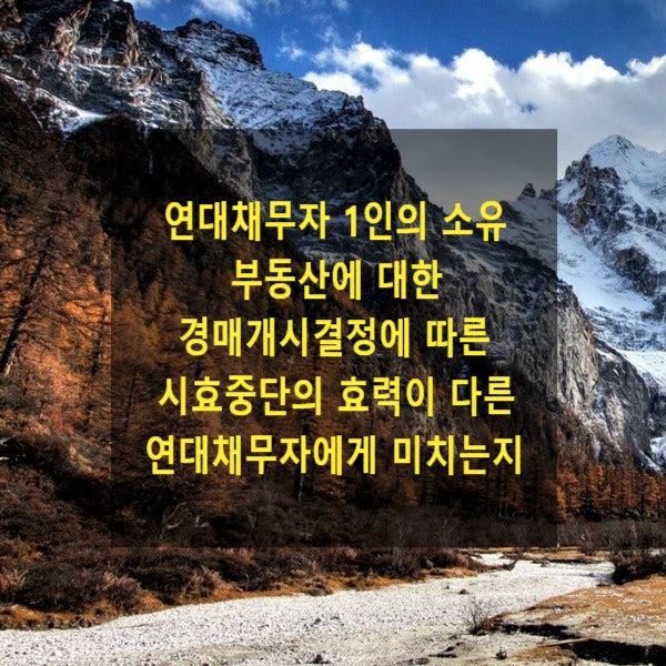  연대채무자 1인의 소유 부동산에 대한 경매개시결정에 따른 시효중단의 효력이 다른 연대채무자에게 미치는지