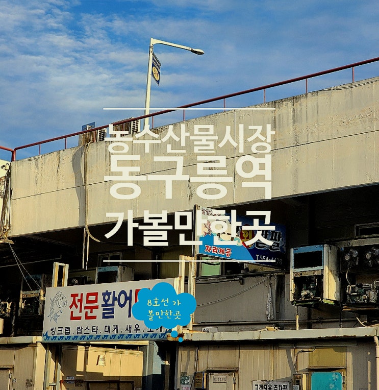 구리농수산물시장맛집 고등어구이 가족외식 구구회팔팔