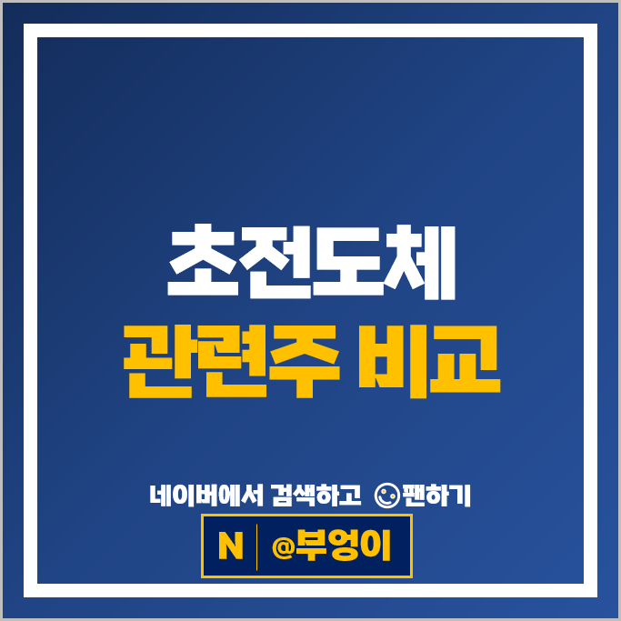 한국 초전도체 관련주 원익피앤이 덕성 주가 신성델타테크 주식