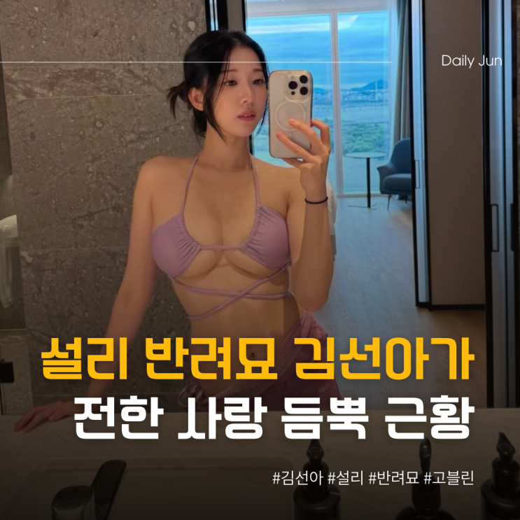  김선아가 전한 설리 반려묘... 사랑 듬뿍️