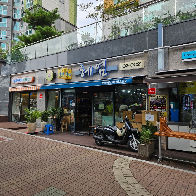  부산 수영용품 사기 좋은 곳 사직동 헤엄