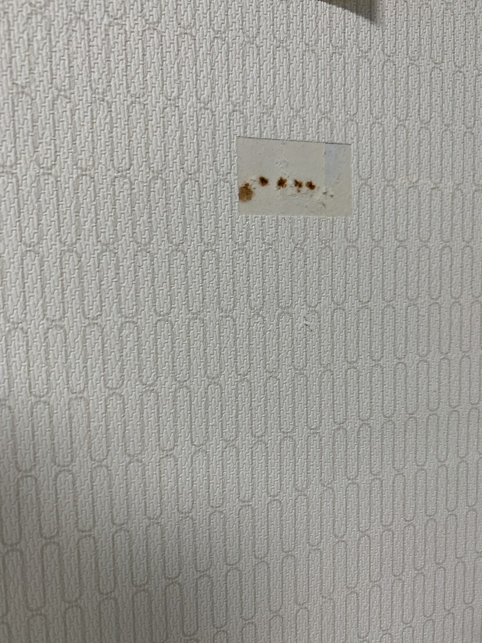 찢어진 벽지 보수 셀프 방법 및 비용 (성남)